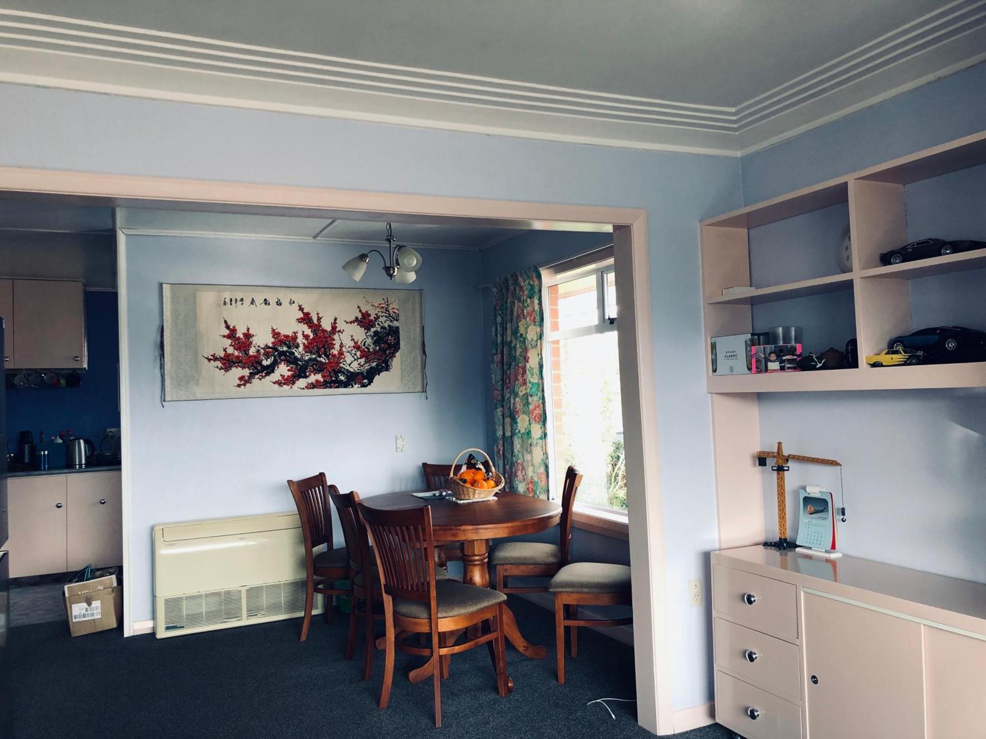 Sunny, Comfortable And Quiet温馨 Family Room2 但尼丁 外观 照片